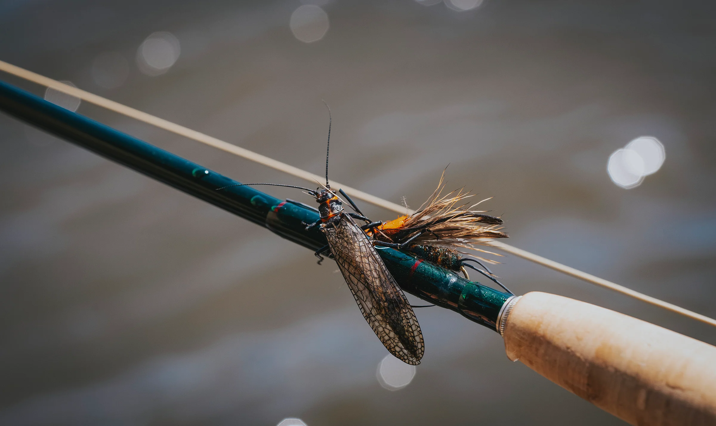 Master the Art of Fly Fishing