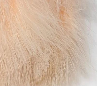 Fish Hunter Premium Strung Marabou - Image 18