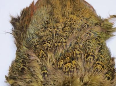 Fish Hunter Ringneck Pheasant Rump Patch - Image 11