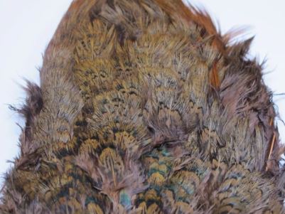 Fish Hunter Ringneck Pheasant Rump Patch - Image 3