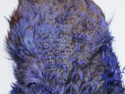 Fish Hunter Ringneck Pheasant Rump Patch - Image 5