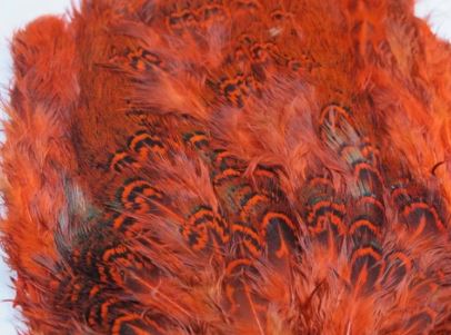 Fish Hunter Ringneck Pheasant Rump Patch - Image 7