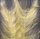 Polar Fiber Streamer Brush - Image 3