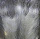 Polar Fiber Streamer Brush - Image 7