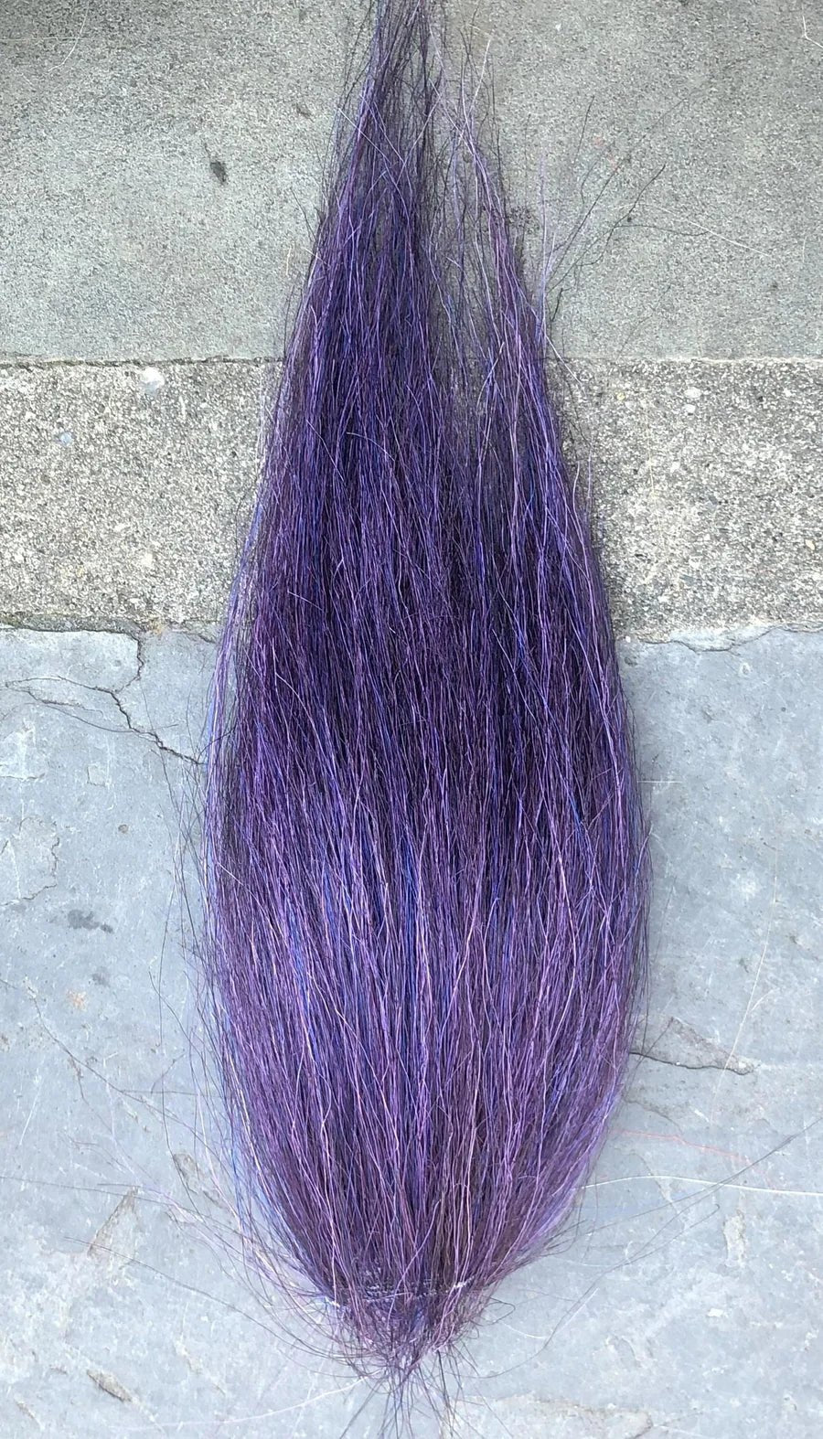 Squimpish Hair - Image 7