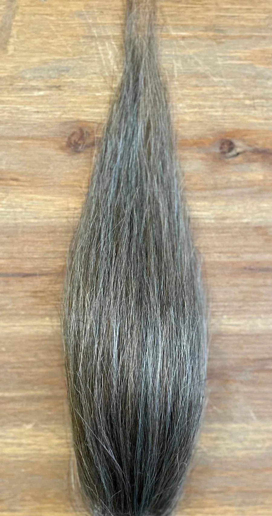 Squimpish Hair - Image 9