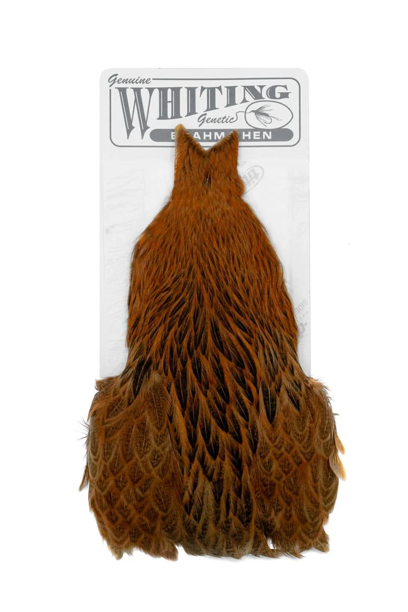 Brahma Hen Cape - Image 4