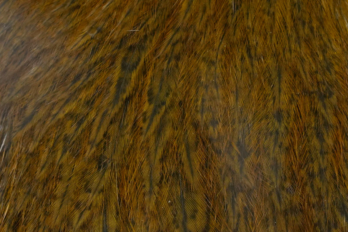 Coq de Leon Hen Cape - Image 10