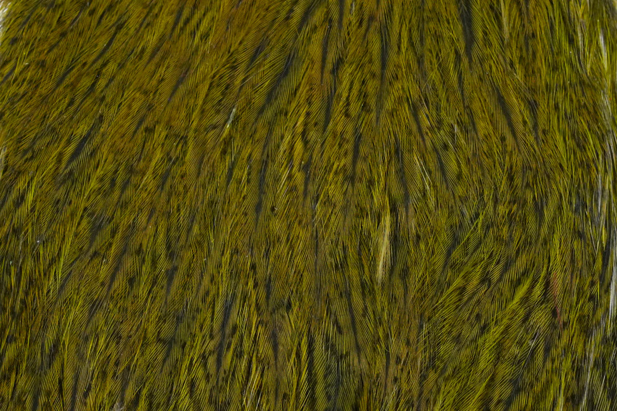 Coq de Leon Hen Cape - Image 4