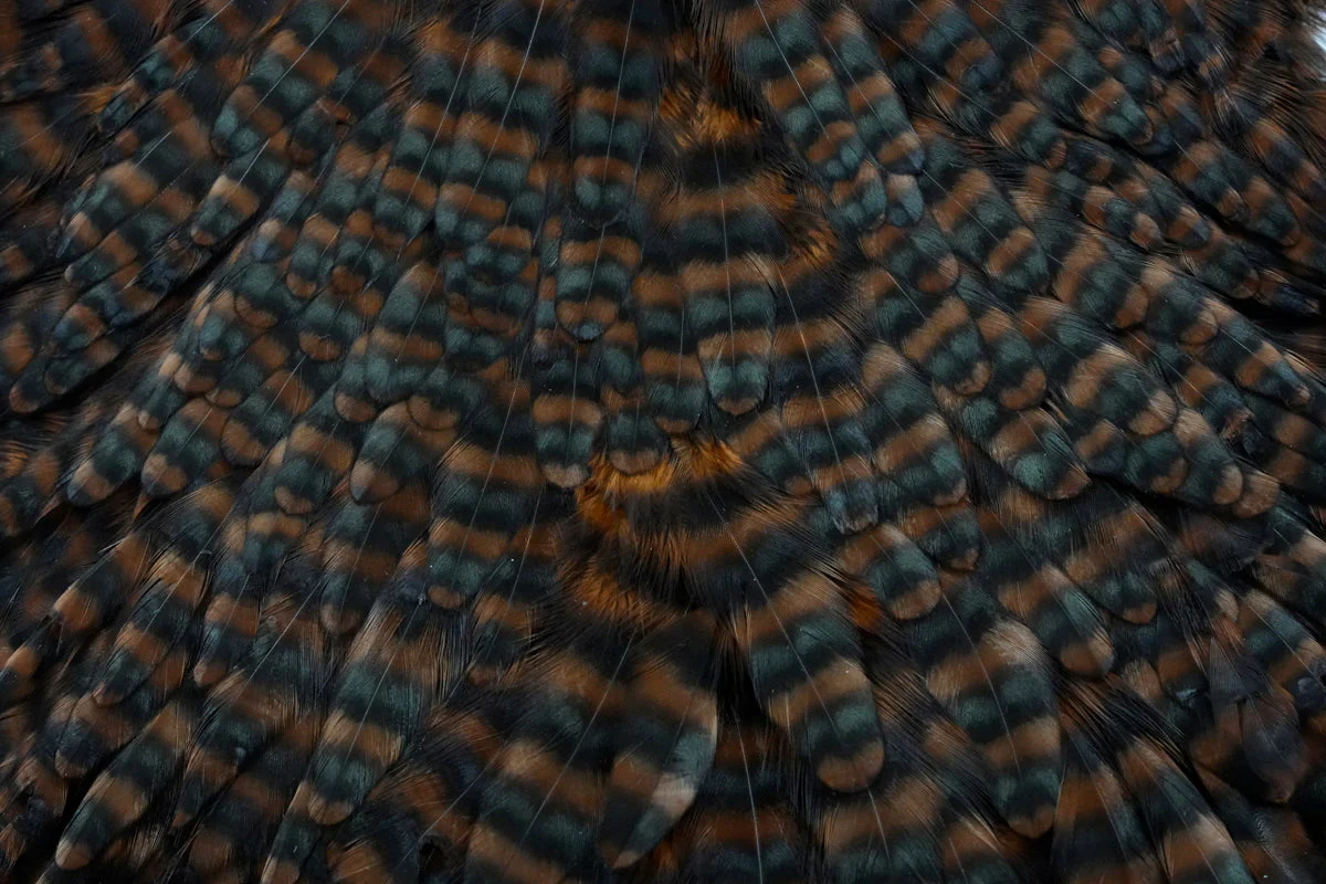 Whiting Hen Saddle - Image 7